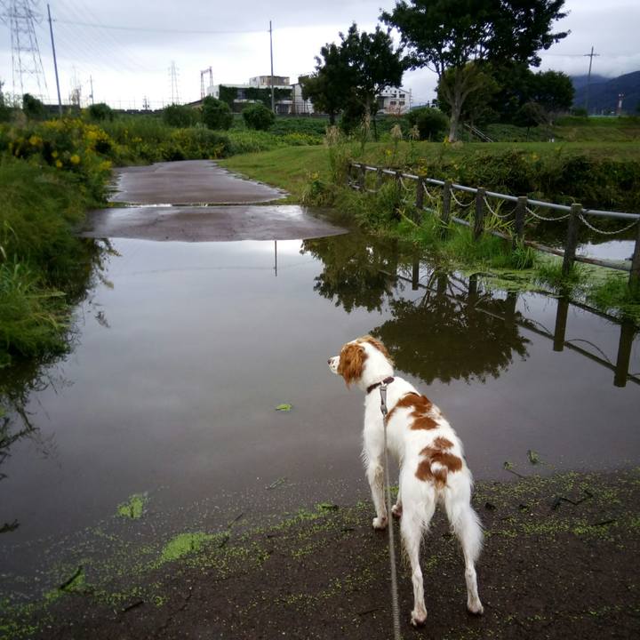 B39ae410 6f56 4b01 8396 7759a4860f61 1508485744370