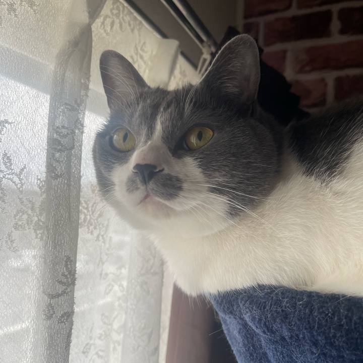 B39b0e55 b5b7 462f 8350 99b9169ec09c 1682377323485