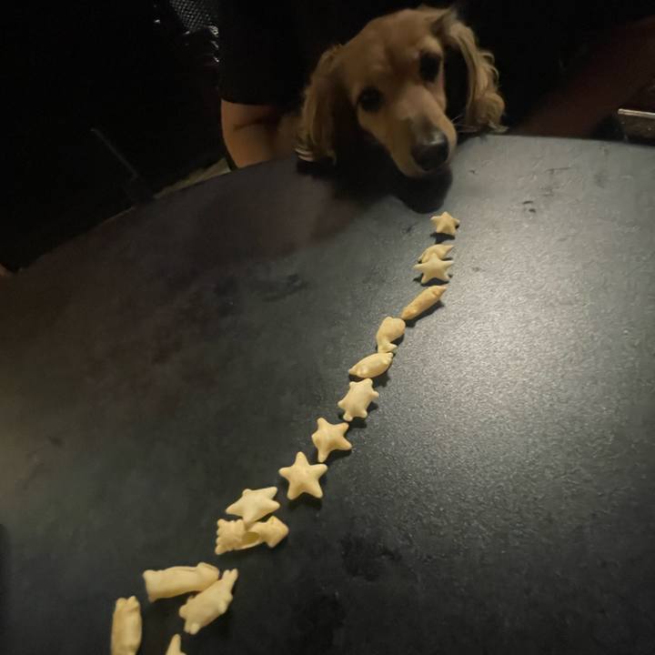 B39b497c f57f 48cc b236 fb06eeafafec 1727871844285