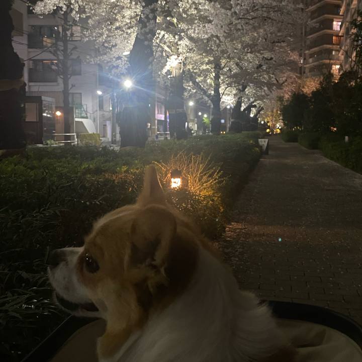 B39b81cc 482b 420e 960c 8caa399a5e00 1712585064301