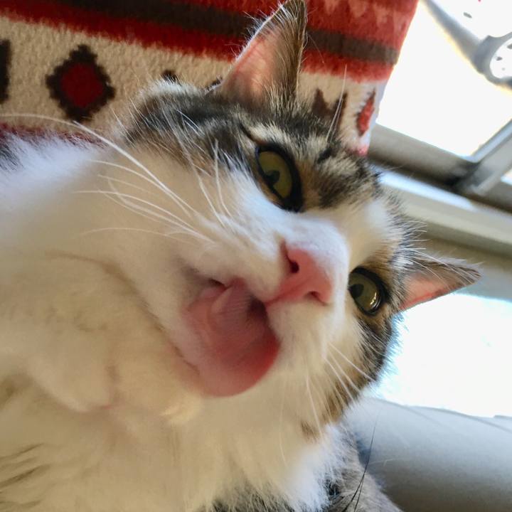 B39b8af0 9bf6 4078 b6c0 df4a662a00f0 1518873902420