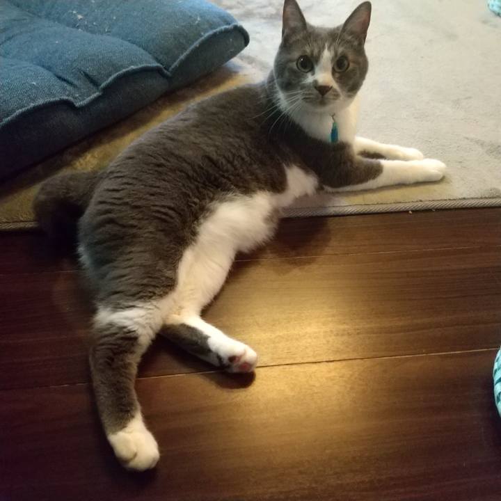 B39bde87 b482 471a a996 61e4939e4d18 1652393455946