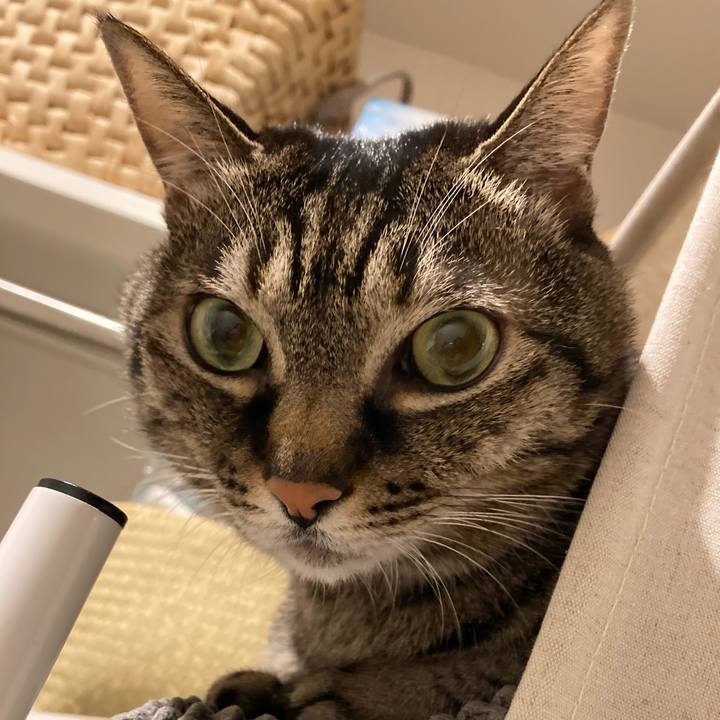 B39bf885 ec0a 4d62 8ea7 c4509a14b546 1736647475362