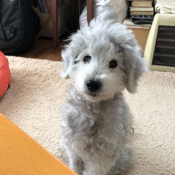 B39c022b f42f 4d4d 8376 4ec9964a52a7 1587340235972