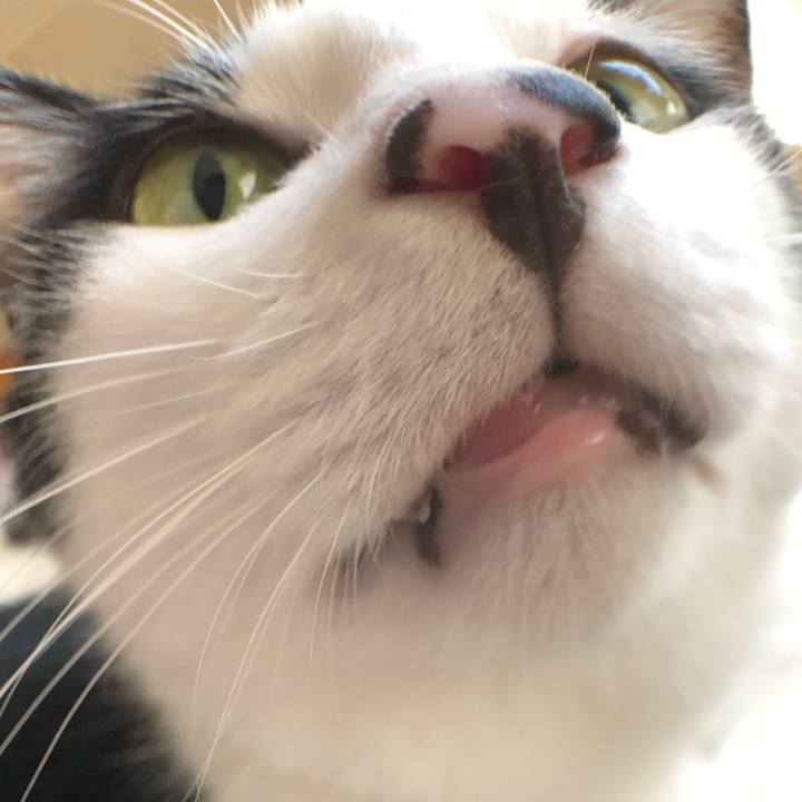 B39c0243 1e7f 4bf7 a4e4 ba3b0121bdfc 1566622252813