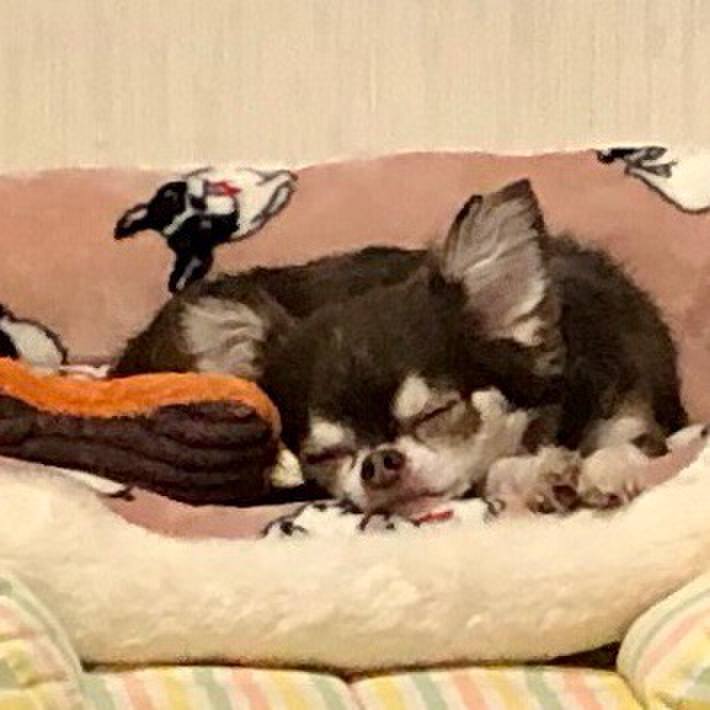 B39c074c 0b04 4f00 b359 d4062e20e919 1531058289925