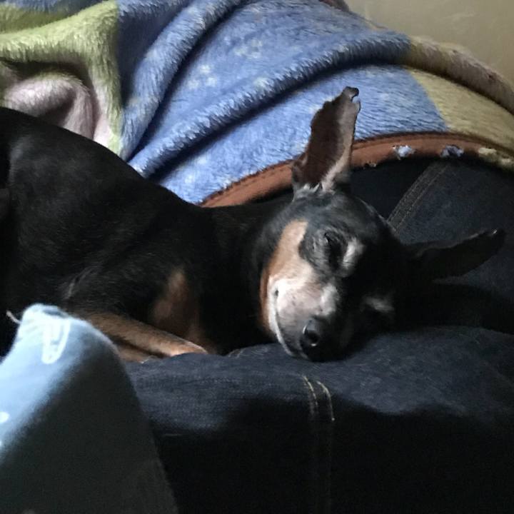 B39c2887 d8a3 42e5 a077 e17d34c3b615 1534382160626