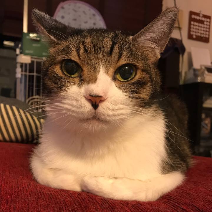 B39c34ea a671 44b1 b88d 0239ae316cb1 1529410629719