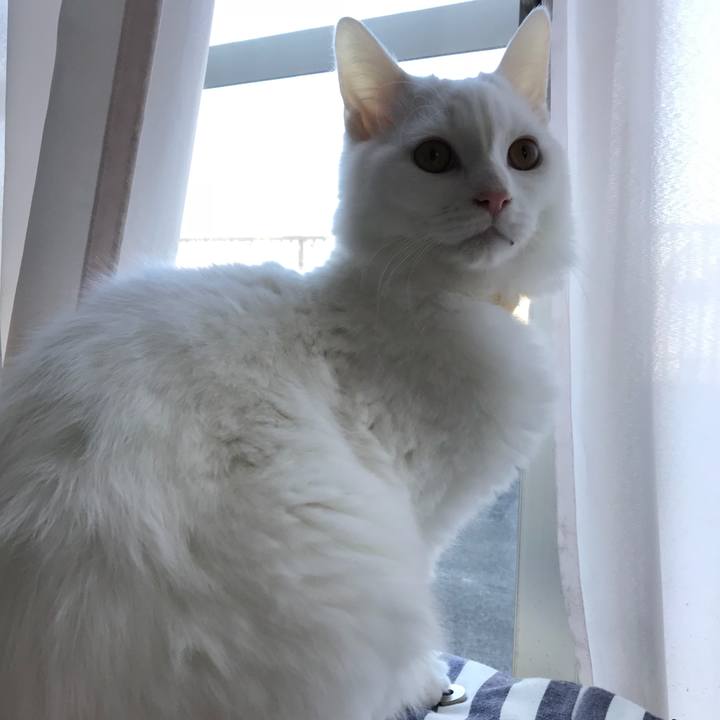 B39c5061 a4a3 4466 aea0 f40690460403 1516230503756