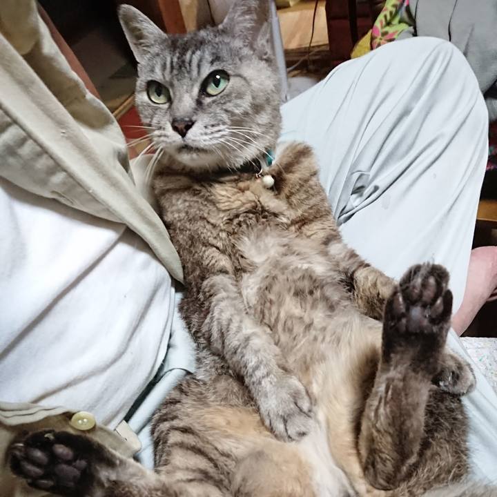 B39c782c 4667 4e44 9d96 6ae5850f1b72 1567419761808