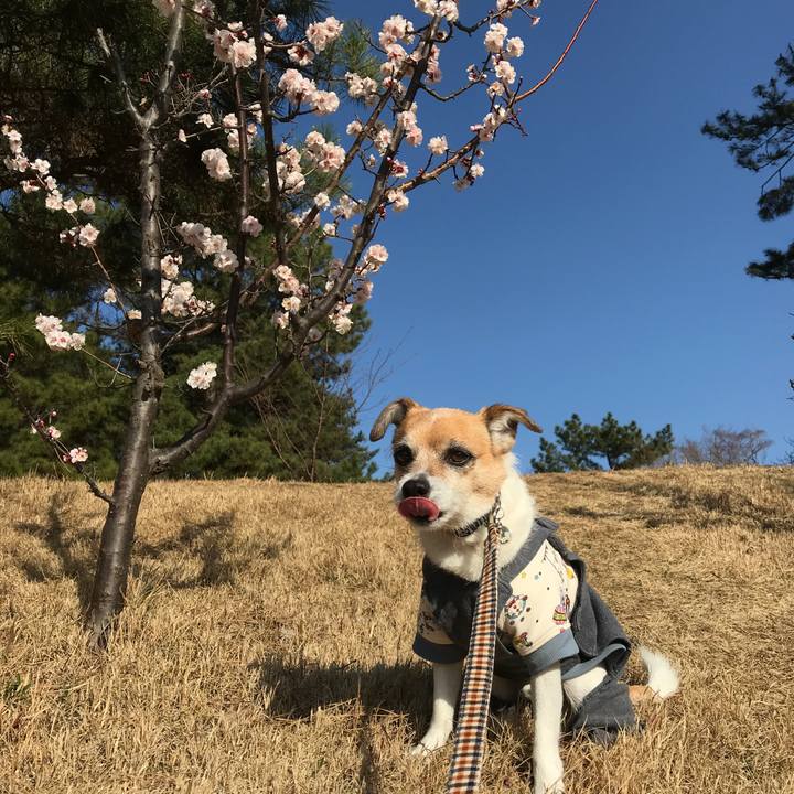 B39c7ea9 6c90 480b a8a5 d1195a3974b8 1582527351466