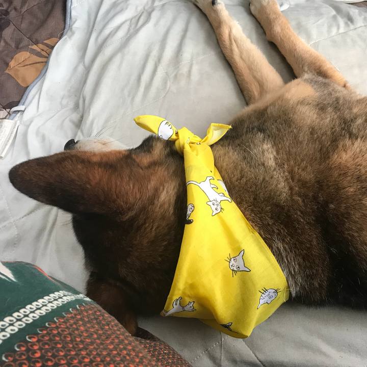 B39c8b35 a582 4b25 adf4 b47be44031d5 1522142227141