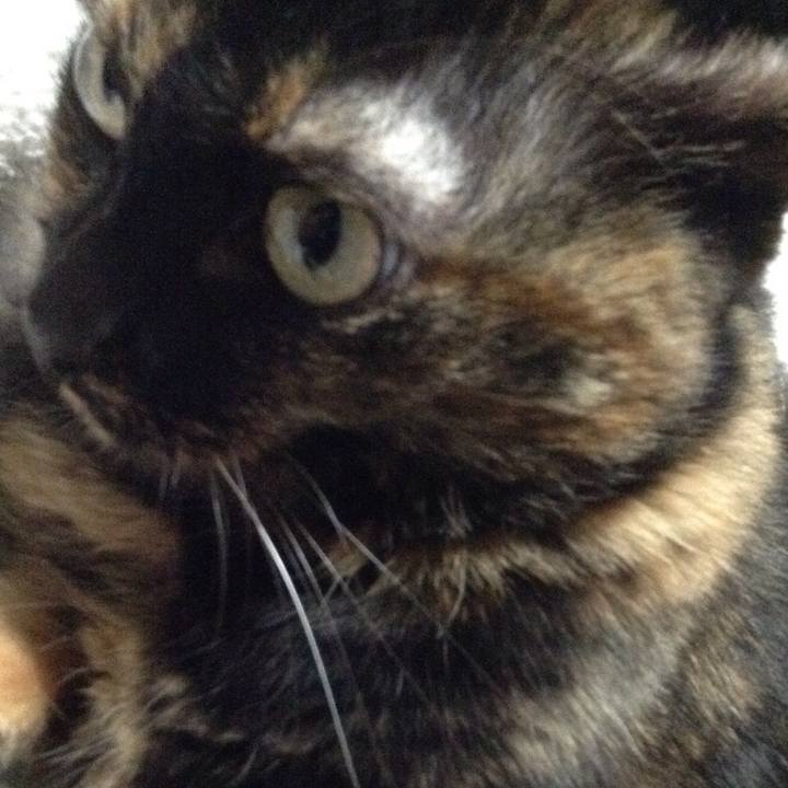 B39c940f 70b9 4e04 b1b4 6ab6101b824c 1510397853929