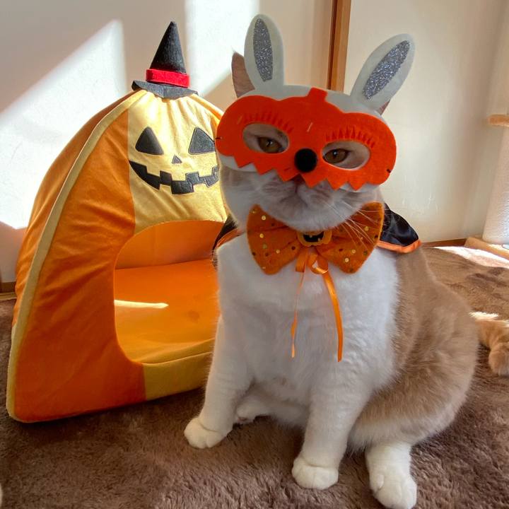 B39cae81 d191 4216 95ef 099c449e67d2 1603947075594