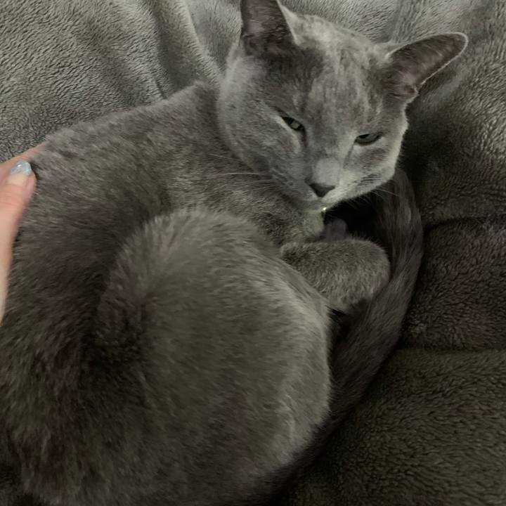 B39cb04c c7ef 4559 b75f f31711f85bad 1673998511713