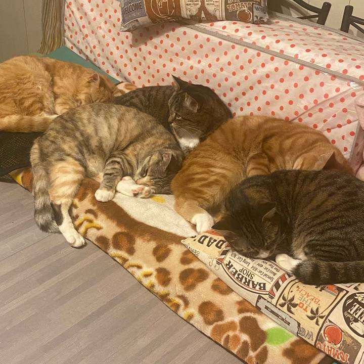 B39ce1f1 5354 4bbc 9015 f94e9dea2102 1620059660401