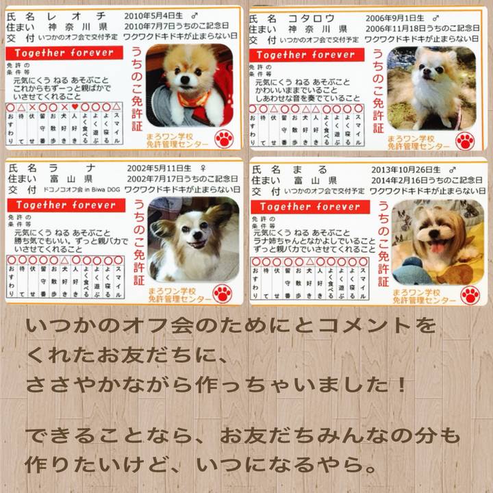 B39cf847 5e05 48c5 a1d4 c0bd556644c3 1541507175160