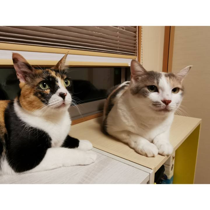 B39d314b 3ce2 4f44 859f 89446c812ad0 1659670465879