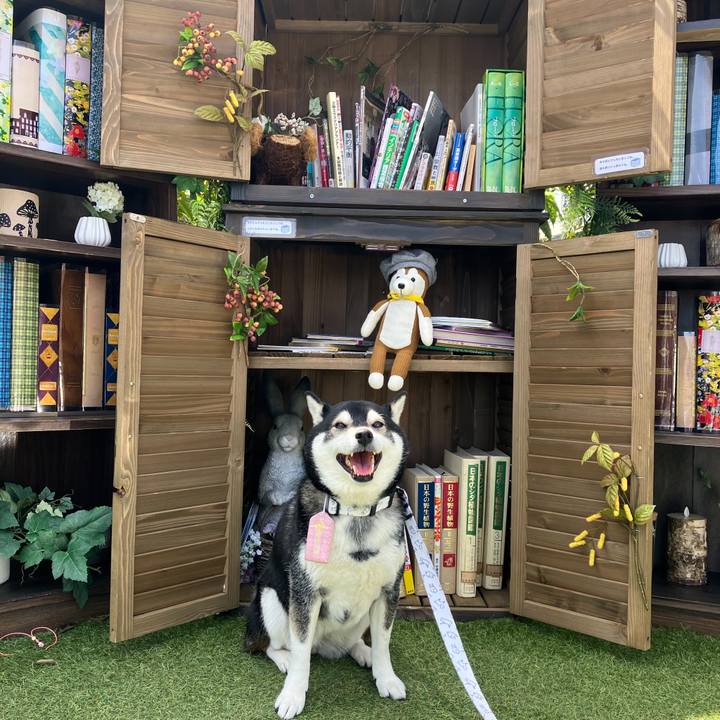 B39d96f4 48cb 42d5 bcec 67755e00723b 1775610002675