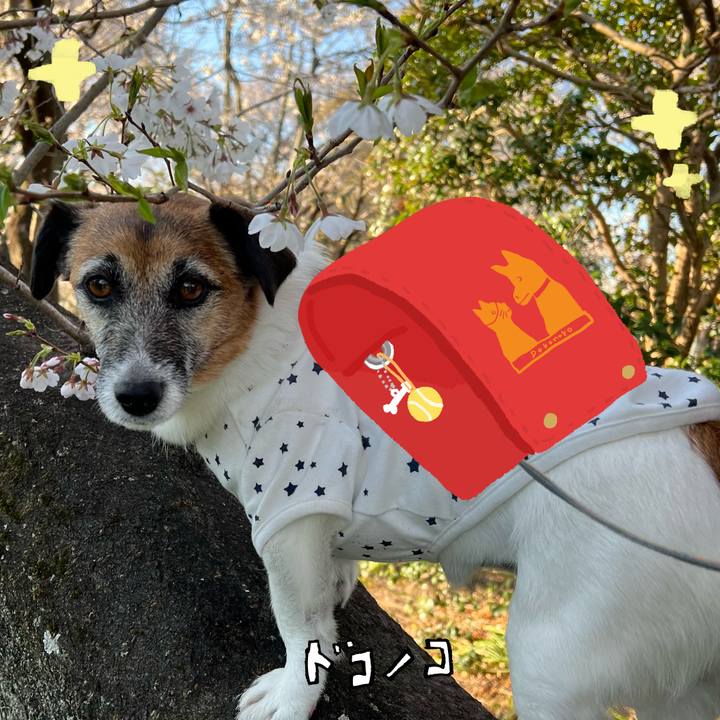 B39d979f d3c1 4110 9260 dd42ab7edfd1 1744298903315