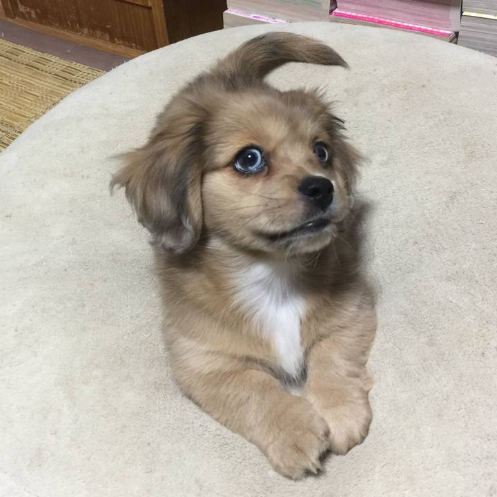 B39db751 dd03 40b1 89b6 5afbf55744b9 1571134475286