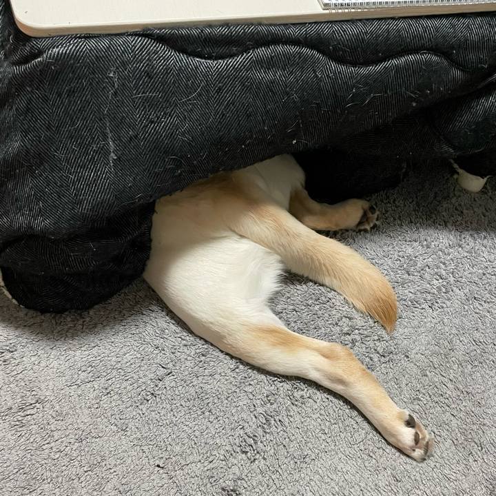 B39dc1d9 3320 4ba4 a73d 29431f9e8ef8 1648031813072