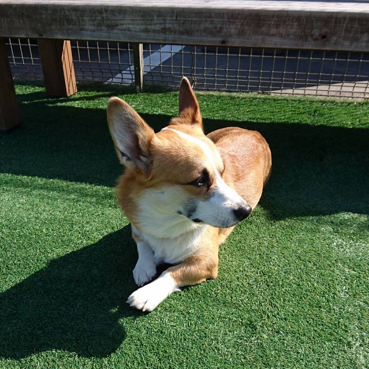 B39dca16 bc48 464f 808a dc3a1d44f287 1583897390027