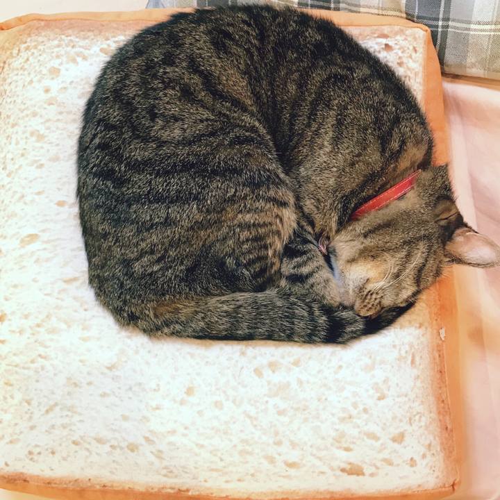 B39dd65c 8d94 4b88 a245 f8e7cefc3530 1522329829709