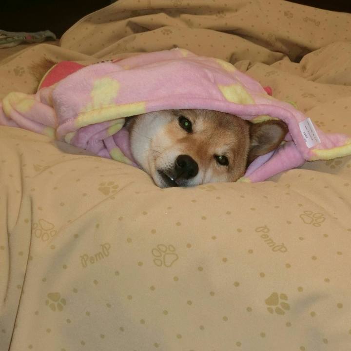 B39dda83 ba0c 4482 9816 06900cff9951 1518744074452