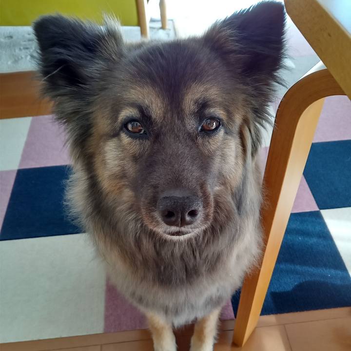 B39dde6b 3c41 4e9a 9704 9f669a394324 1772328789259