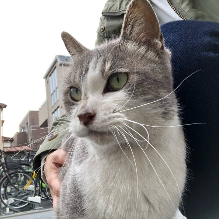 B39e0318 19a0 4a20 ab36 d6887b51420b 1554120930286