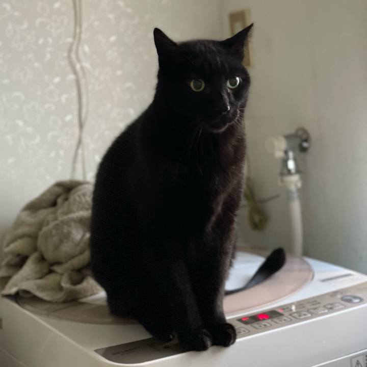 B39e17a2 f0d6 41f1 a8fe c880e91bfcdc 1640312232443