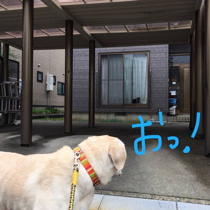 B39e19c8 55d1 4aa6 8d6a 876ff38b277c 1529471159273