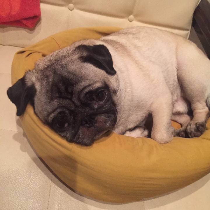 B39e46b2 580d 462c 979e 5bcb747b8e26 1539834487512