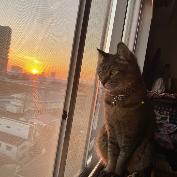 B39e46e6 9c4a 482b b2b0 787a55221def 1581605414242