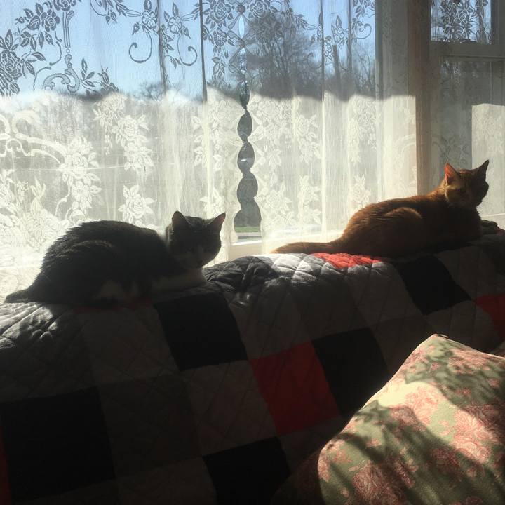 B39e51fa 2c29 4526 be86 bcca7b27b335 1617753469766