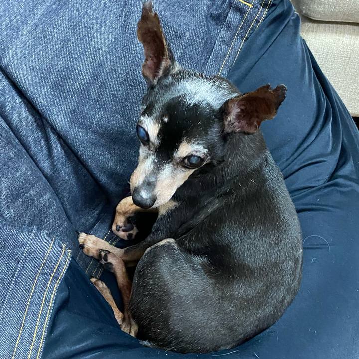 B39e8c23 df59 4a07 8a4e cd8e6648fdde 1587901542996