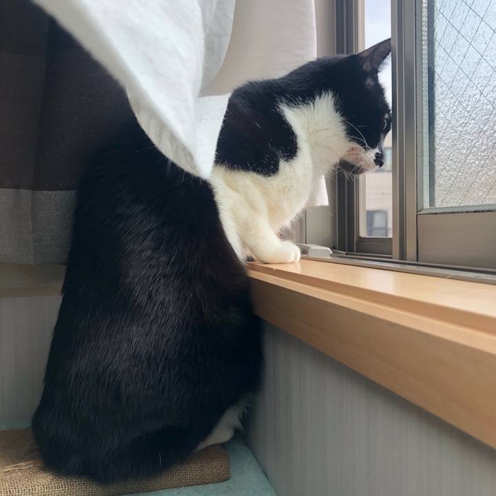 B39e93ae 019f 48e2 9f2d e720ca0d3fd8 1582534414452