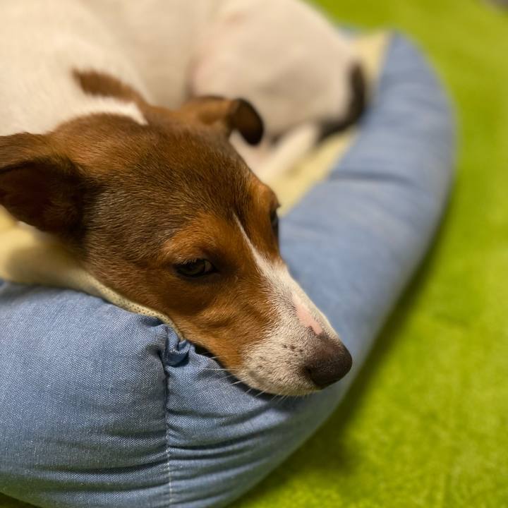 B39e9c09 9554 4207 b1f5 9d0dc7d529b4 1694263044147