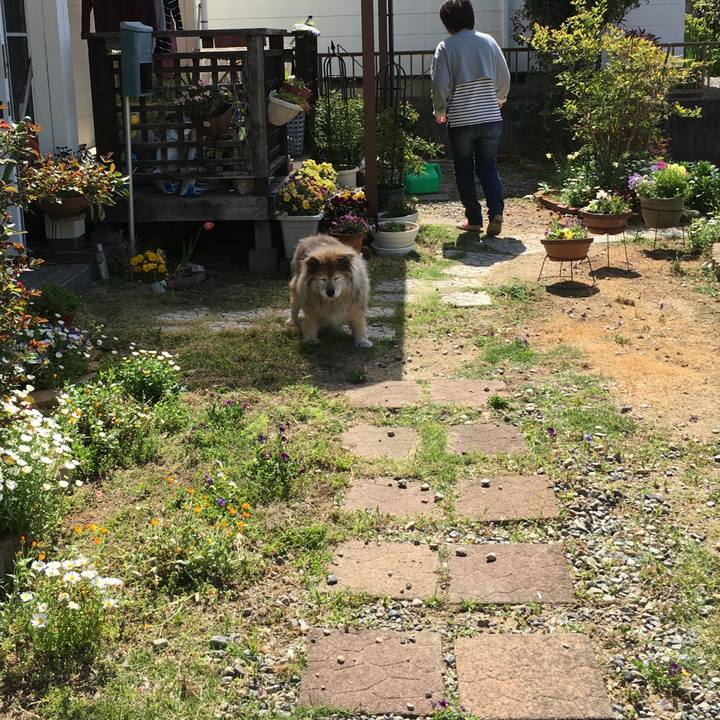 B39ea18b abdb 4105 a209 46fe9bdc493a 1647315123748