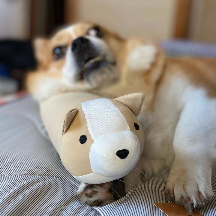 B39ed2f0 69ce 45c4 abd9 7a9e28ebde35 1751271844450