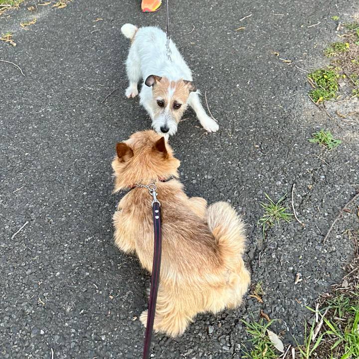 B39edb6f 42e0 4664 b1d8 94cb3ee6e979 1743984497301