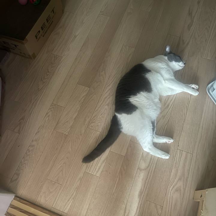 B39eef22 4e06 46c9 be19 1f31bfd6a395 1687038861146