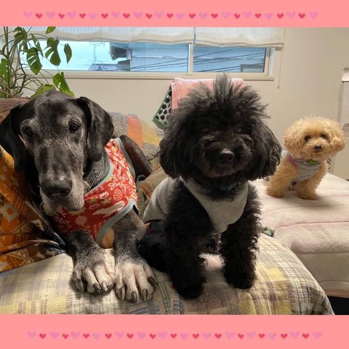 B39f155a 96c6 4e69 93fb b2e1a8dad45d 1638743447808