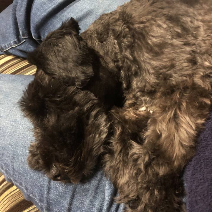 B39f6229 ac35 4940 8062 c03b2665f371 1569581671765