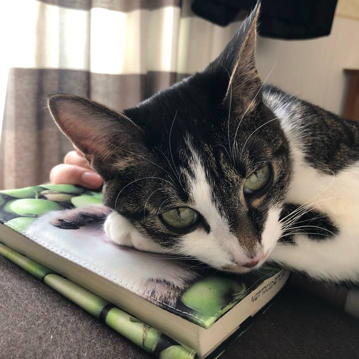 B39f8e52 f280 4d90 a6d3 79439d36b5ba 1557518411599