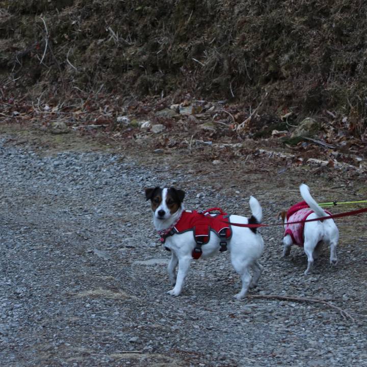 B39f95ac fbf1 4871 83f8 31486e18c360 1515908511522