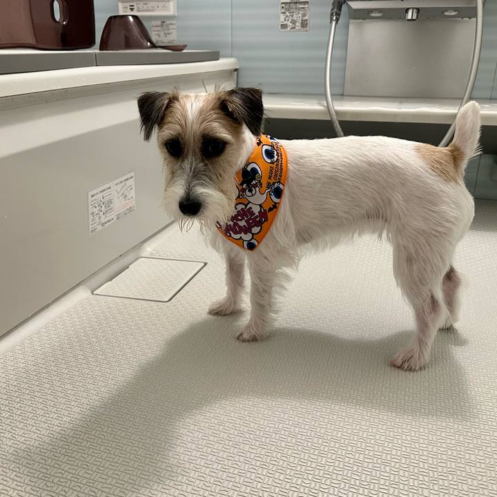 B39fae60 c426 47df bfb1 b04bb0e82ee1 1697032992498