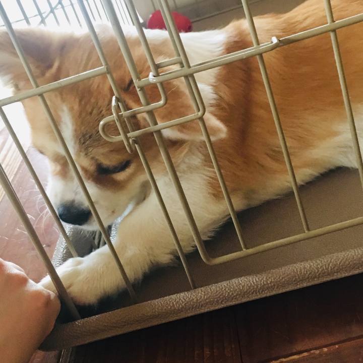 B39fc3b9 4949 49e0 ba92 1a837944389e 1561096156576