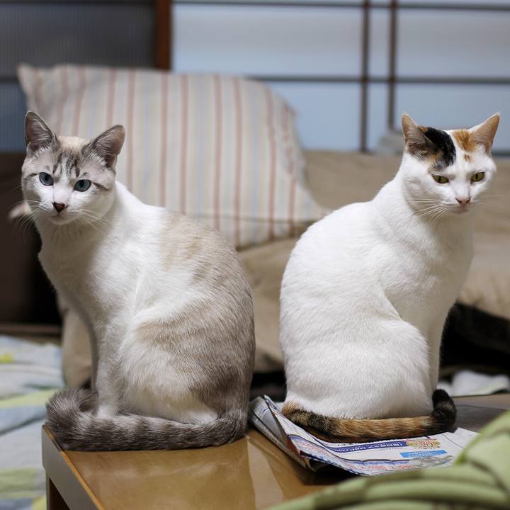 B39fd633 b50e 4305 b705 e77382aa7255 1612481183711